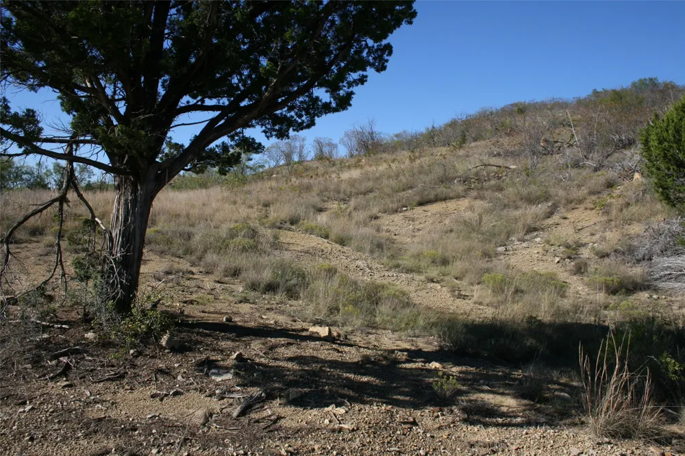 Upper Brad Strawn, TX 76475