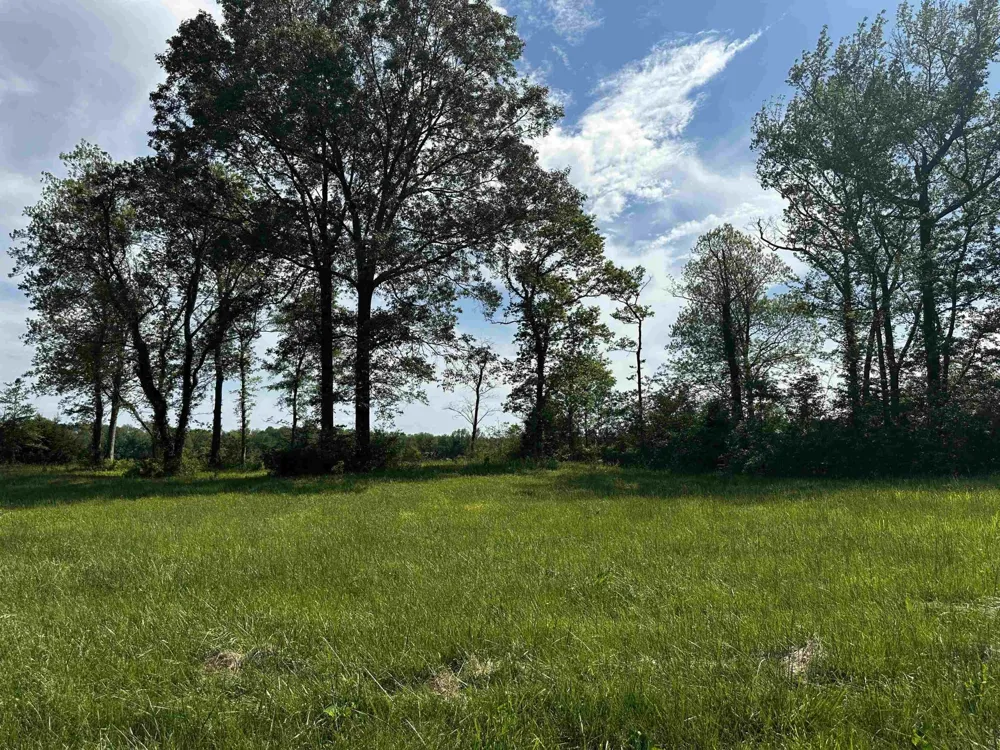 0 CATFISH LN Crump, TN 38327