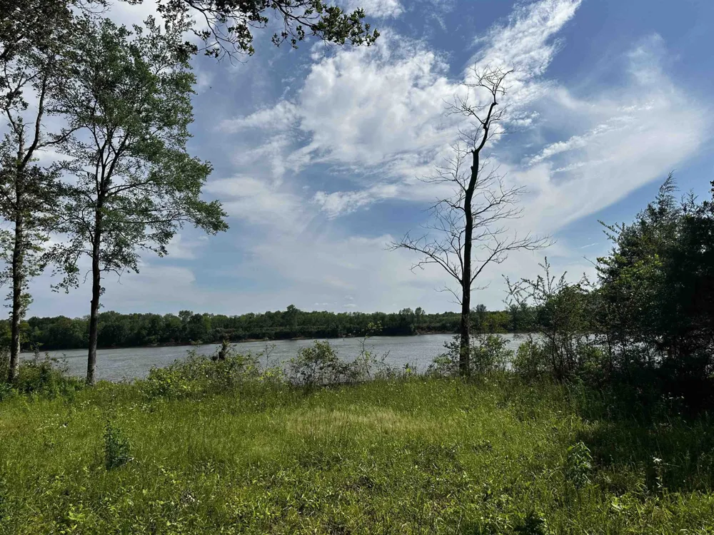 0 CATFISH LN Crump, TN 38327