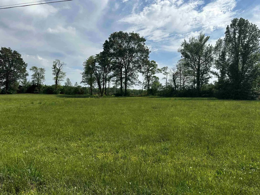 0 CATFISH LN Crump, TN 38327