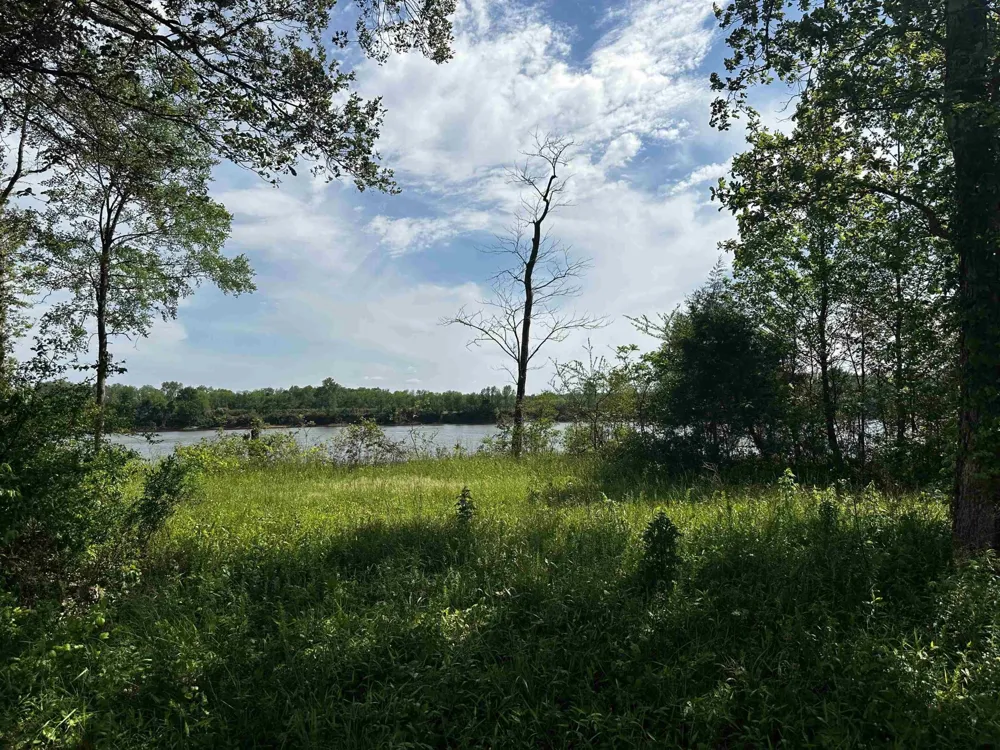 0 CATFISH LN Crump, TN 38327