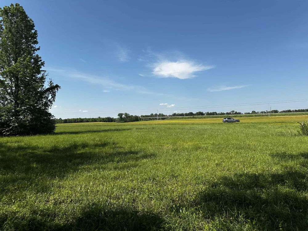 0 CATFISH LN Crump, TN 38327
