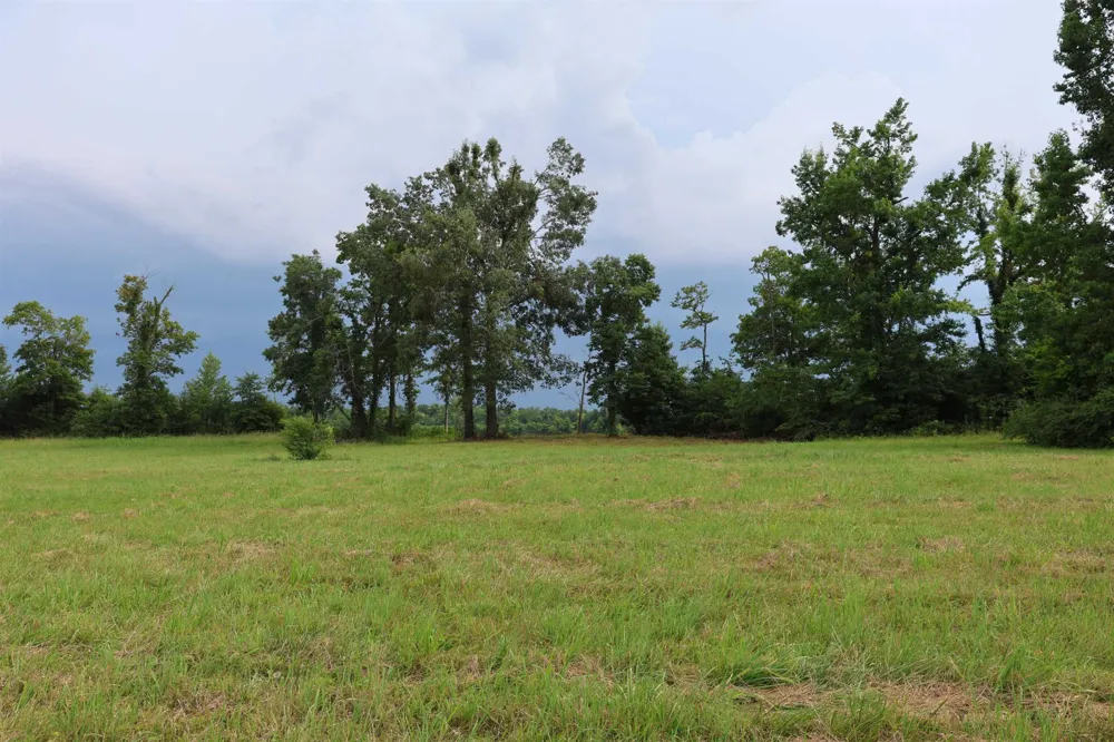 0 CATFISH LN Crump, TN 38327