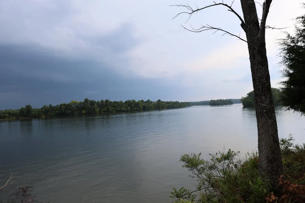 0 CATFISH LN Crump, TN 38327