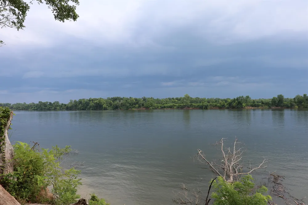 0 CATFISH LN Crump, TN 38327