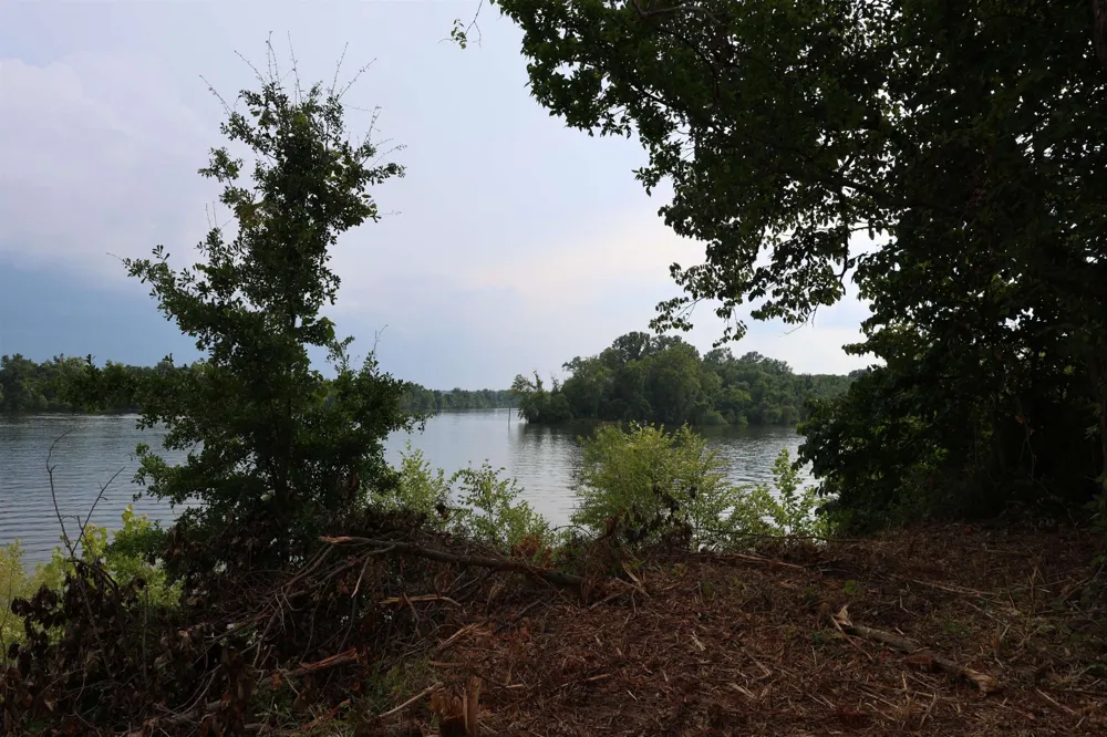0 CATFISH LN Crump, TN 38327