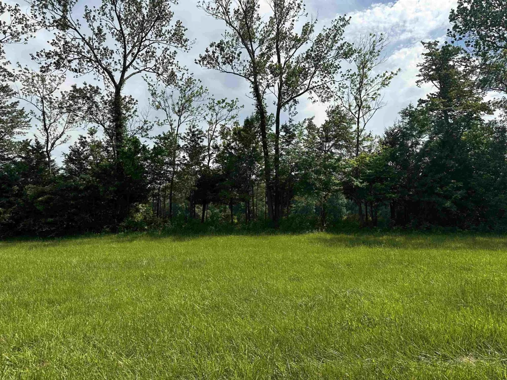 0 CATFISH LN Crump, TN 38327