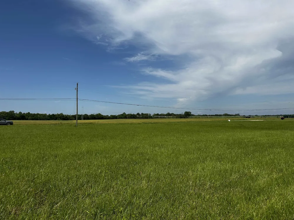 0 CATFISH LN Crump, TN 38327