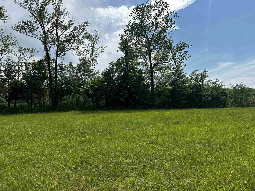 0 CATFISH LN Crump, TN 38327