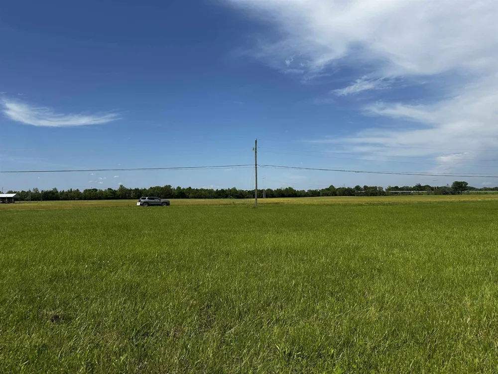 0 CATFISH LN Crump, TN 38327