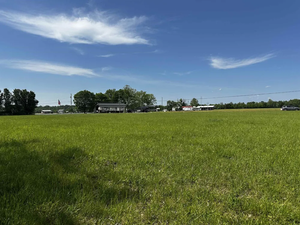 0 CATFISH LN Crump, TN 38327
