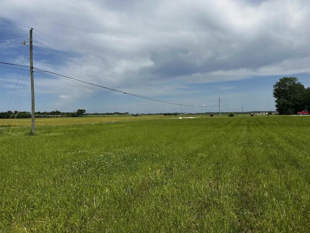 0 CATFISH LN Crump, TN 38327