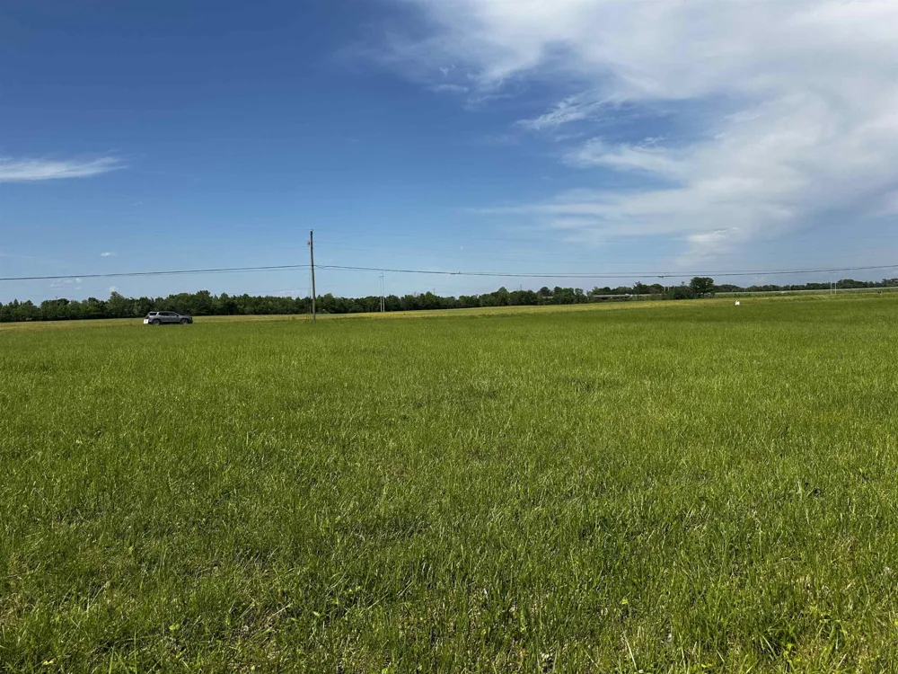 0 CATFISH LN Crump, TN 38327