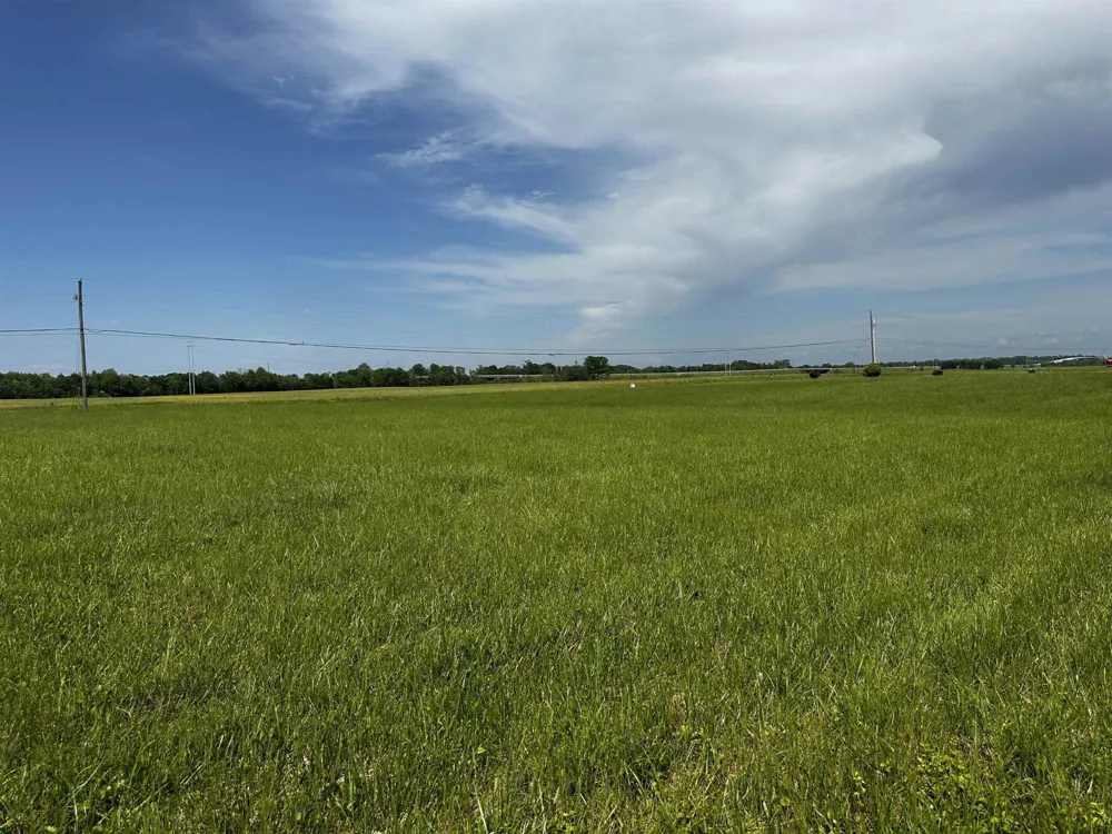 0 CATFISH LN Crump, TN 38327