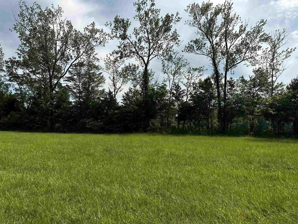 0 CATFISH LN Crump, TN 38327