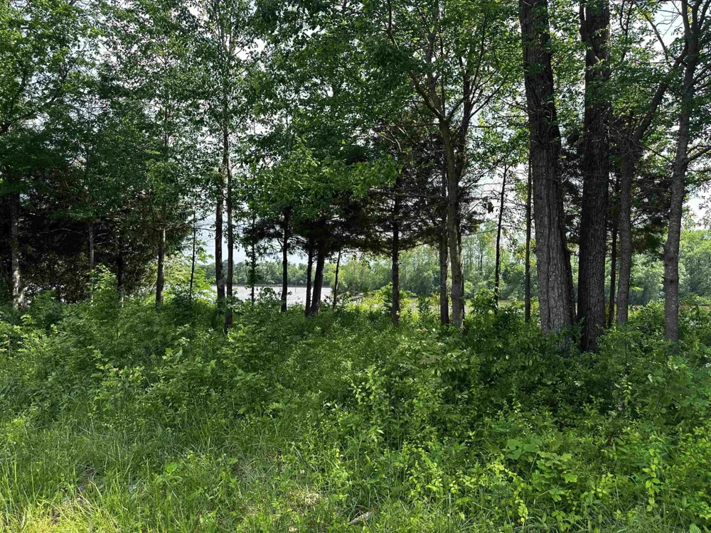 0 CATFISH LN Crump, TN 38327