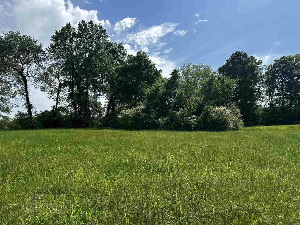 0 CATFISH LN Crump, TN 38327