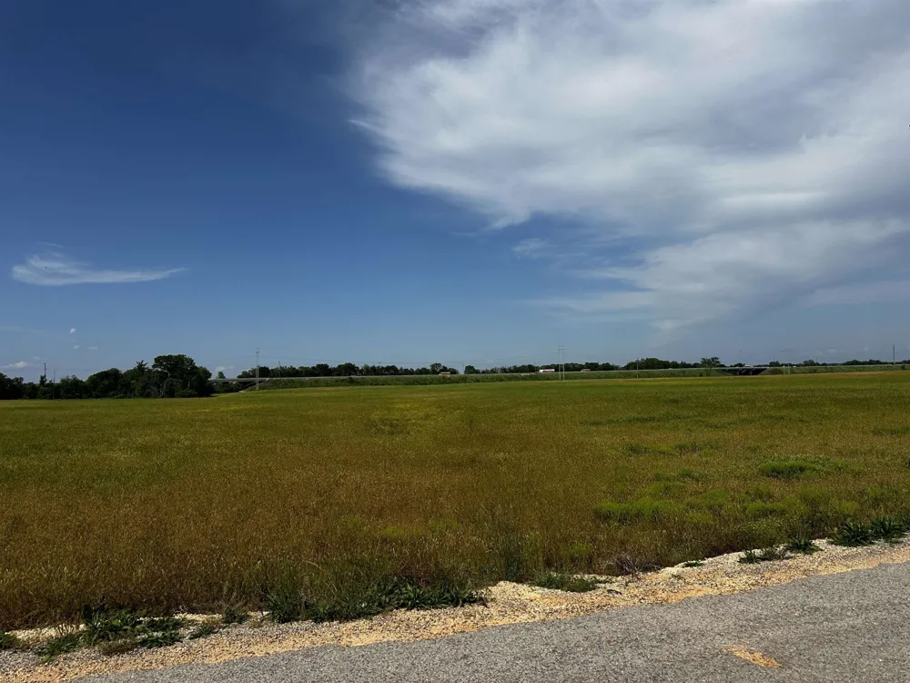 0 CATFISH LN Crump, TN 38327