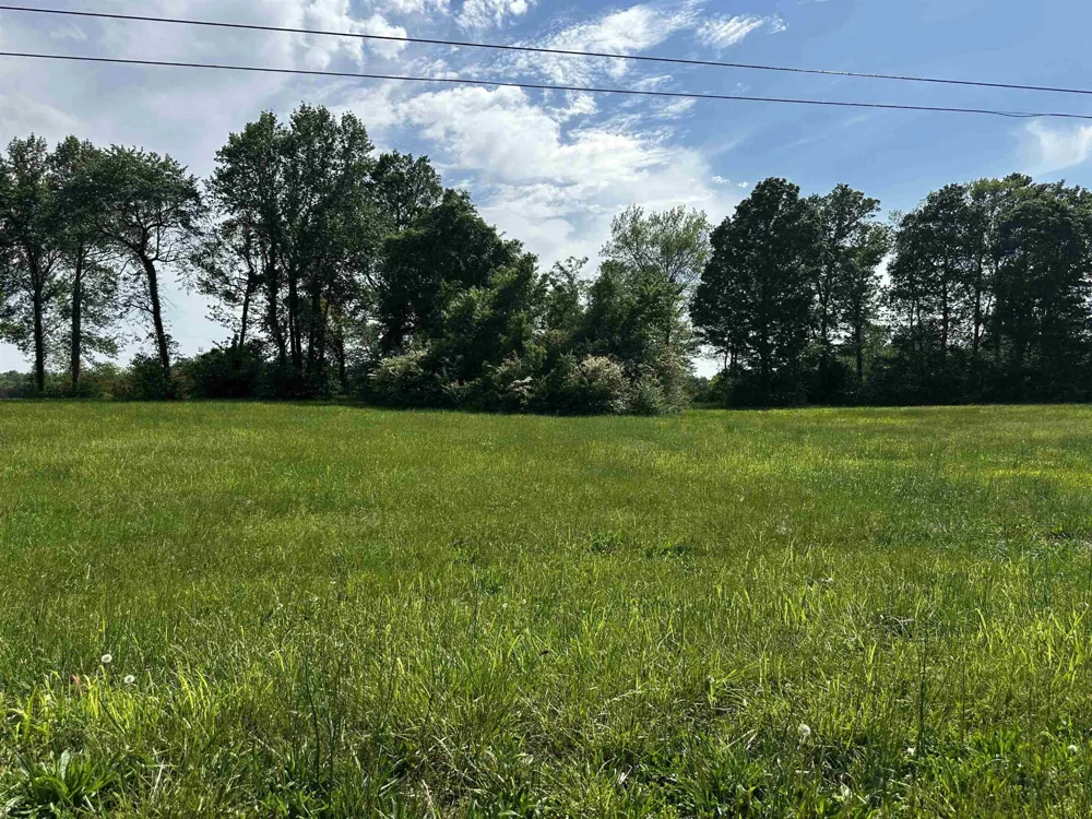 0 CATFISH LN Crump, TN 38327
