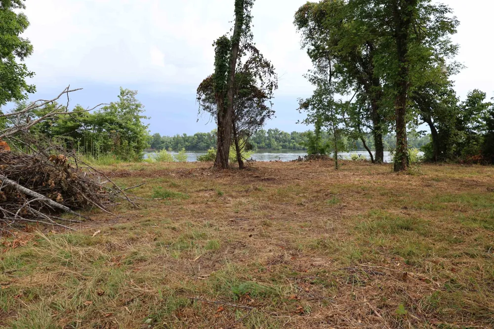 0 CATFISH LN Crump, TN 38327