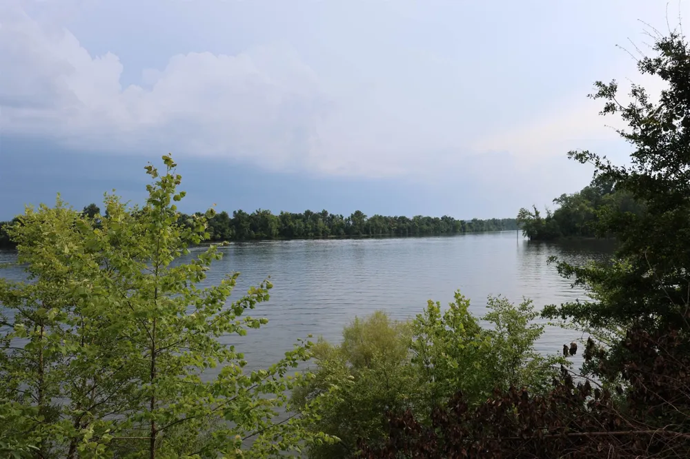 0 CATFISH LN Crump, TN 38327