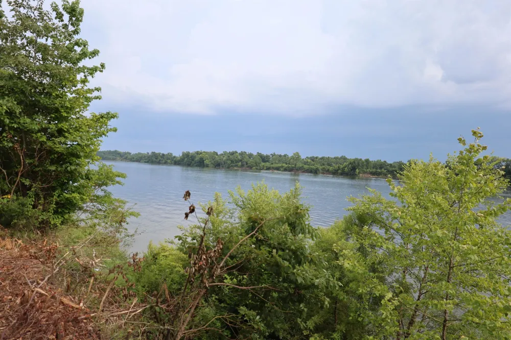 0 CATFISH LN Crump, TN 38327