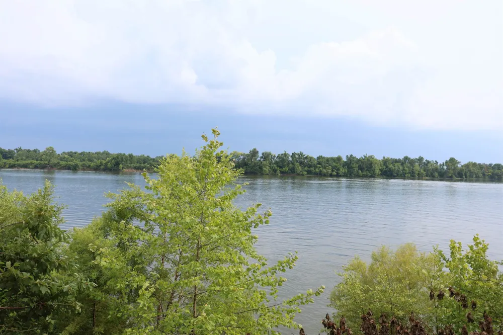 0 CATFISH LN Crump, TN 38327