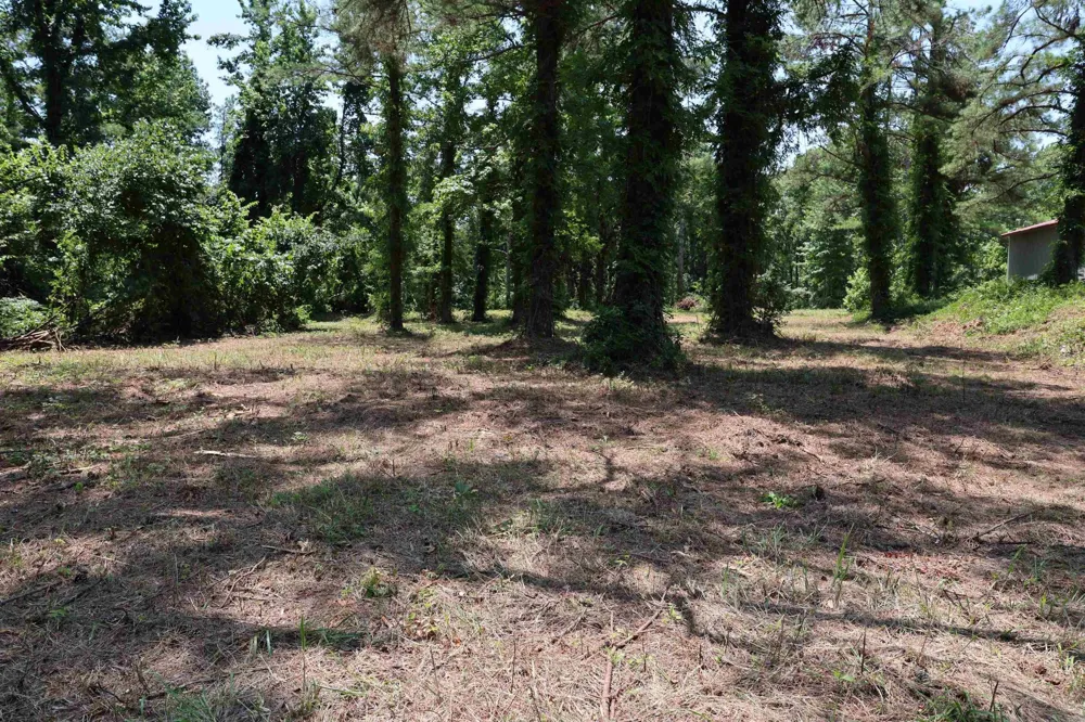0 Hwy 57 Michie, TN 38357