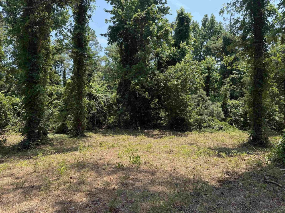 0 Hwy 57 Michie, TN 38357