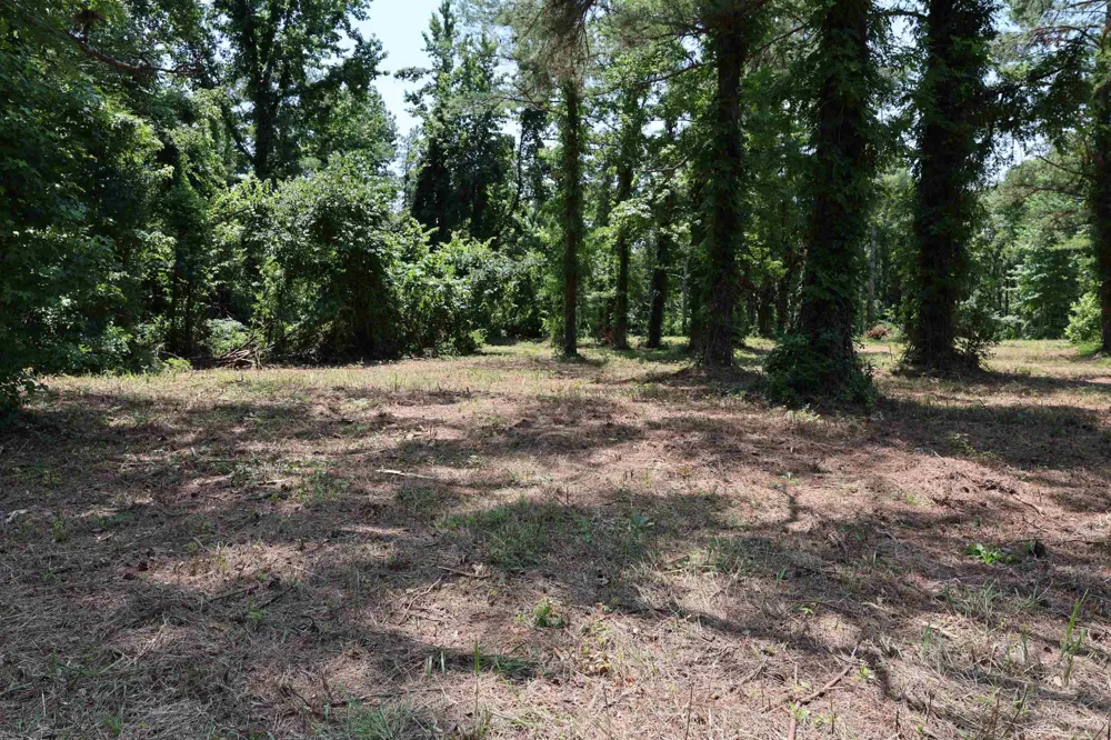 0 Hwy 57 Michie, TN 38357
