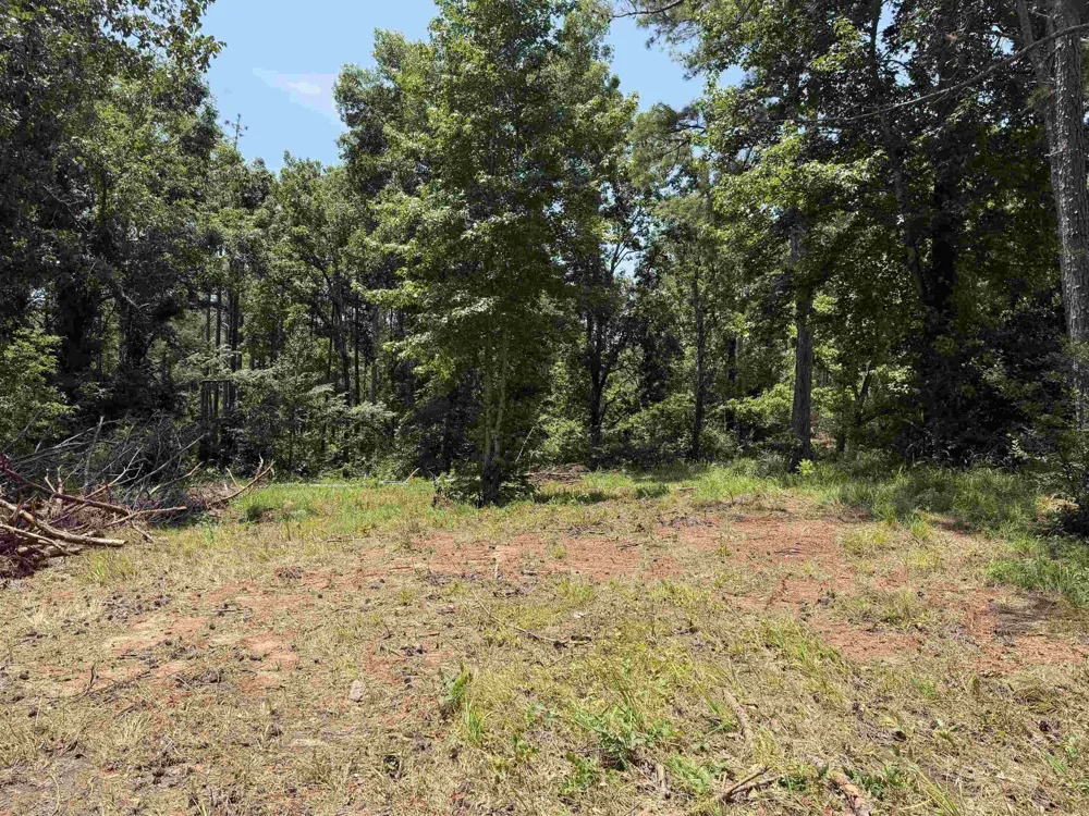 0 Hwy 57 Michie, TN 38357