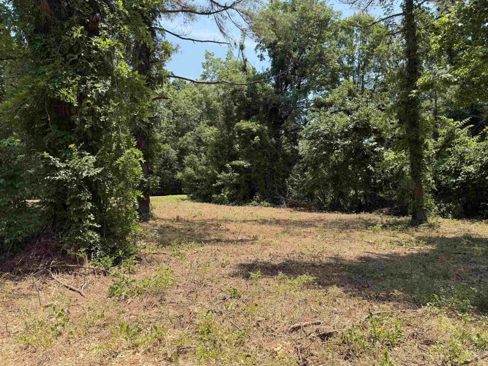 0 Hwy 57 Michie, TN 38357