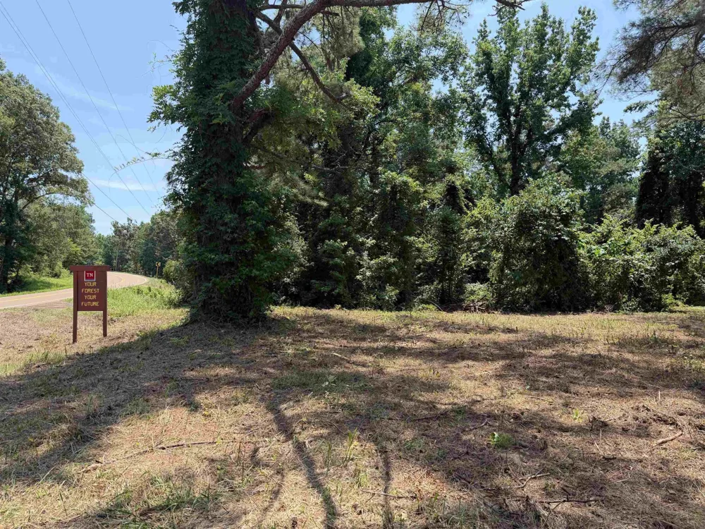 0 Hwy 57 Michie, TN 38357