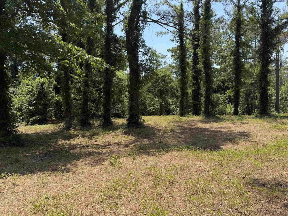 0 Hwy 57 Michie, TN 38357