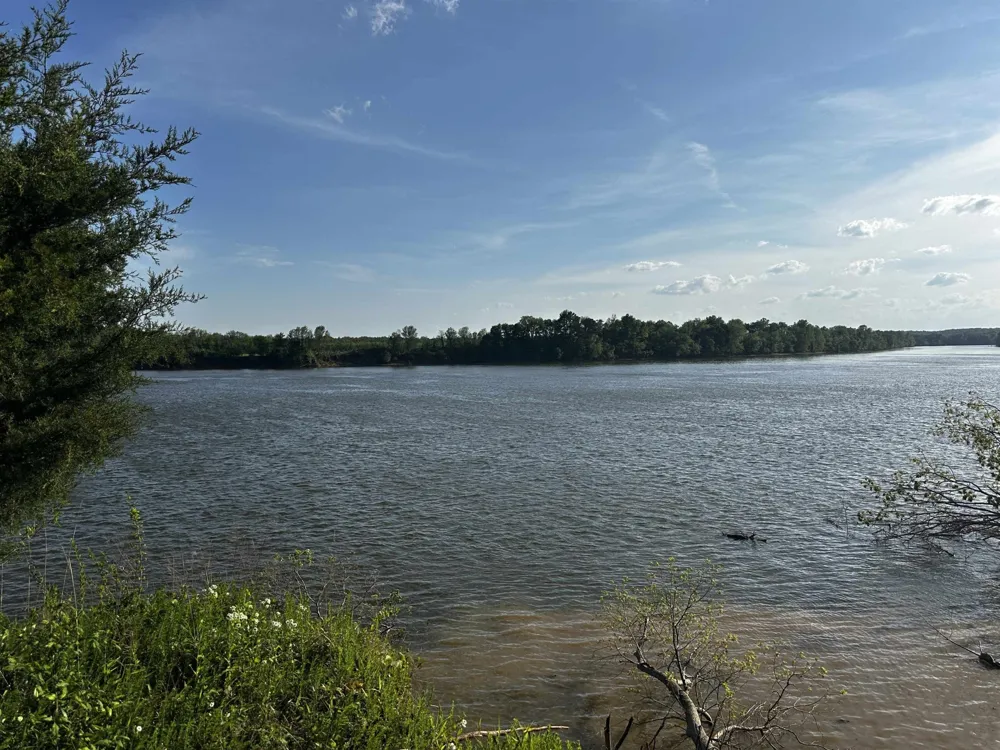 0 CATFISH LN Crump, TN 38327