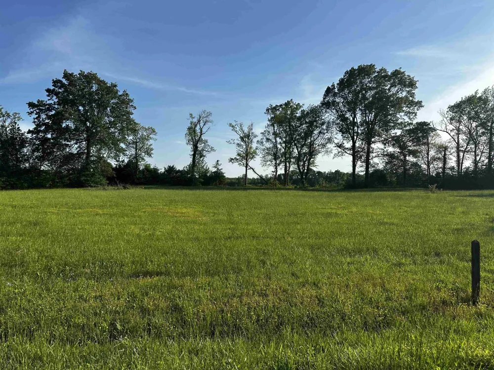 0 CATFISH LN Crump, TN 38327
