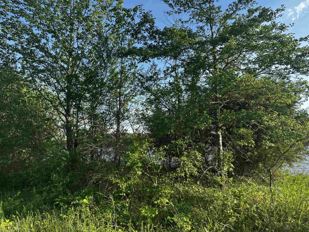0 CATFISH LN Crump, TN 38327