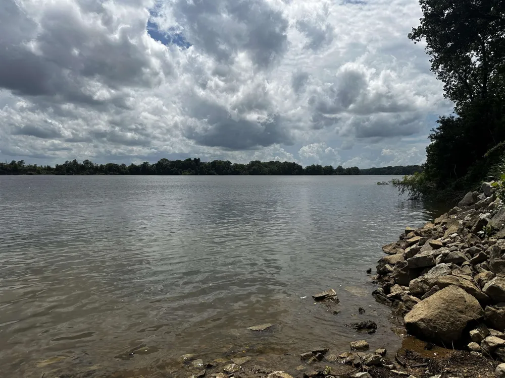 0 CATFISH LN Crump, TN 38327