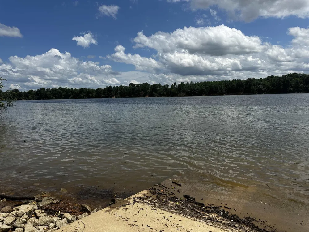 0 CATFISH LN Crump, TN 38327