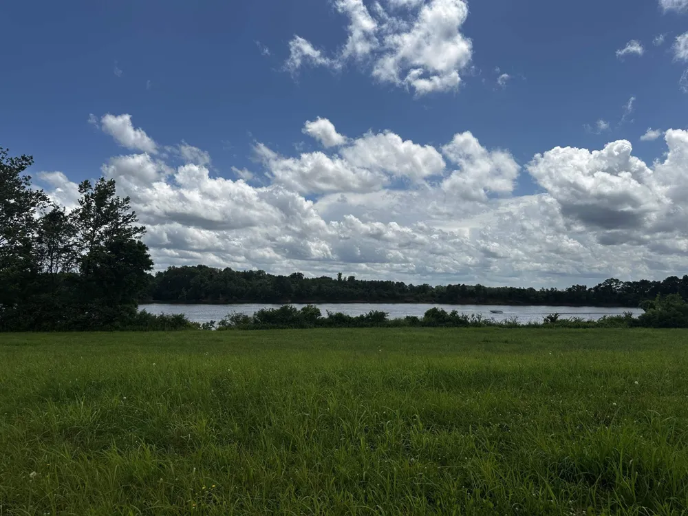0 CATFISH LN Crump, TN 38327