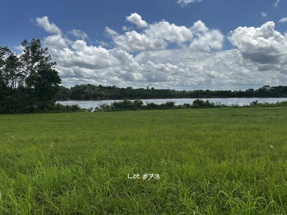 0 CATFISH LN Crump, TN 38327