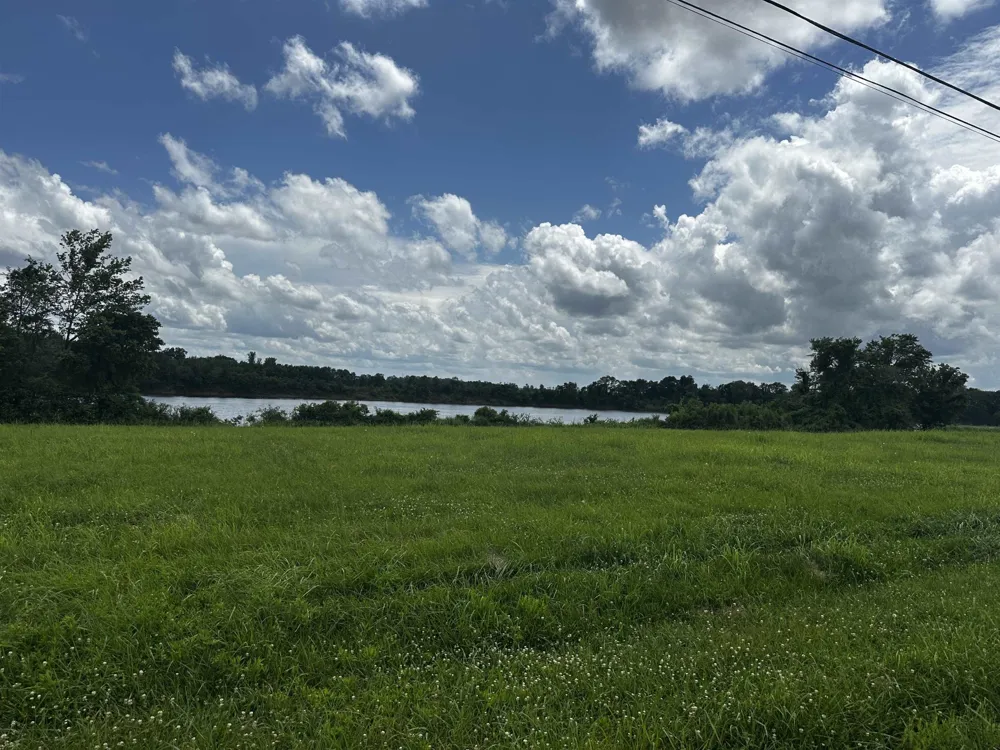 0 CATFISH LN Crump, TN 38327