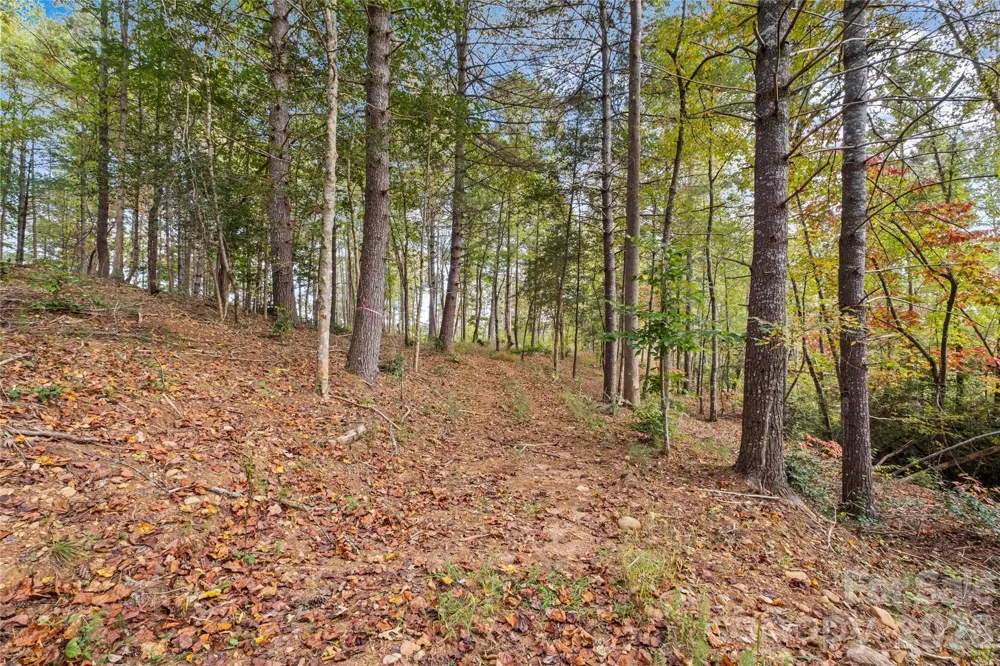 00 Scenic Lane #241 Granite Falls, NC 28630