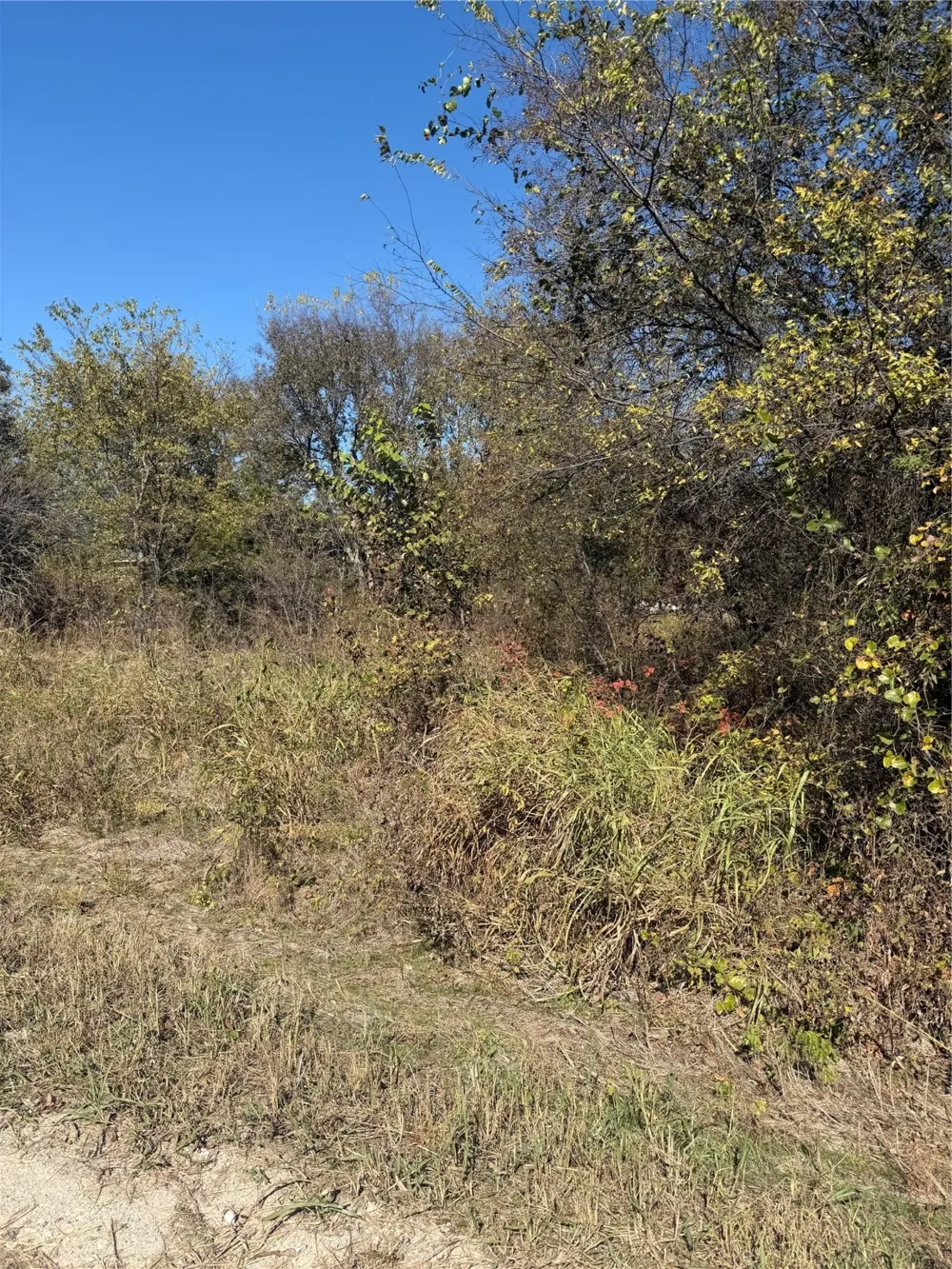 Ridge Crest Lone Oak, TX 75453