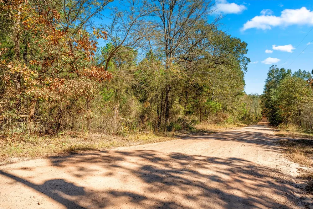 170 PR 52423 Leesburg, TX 75451