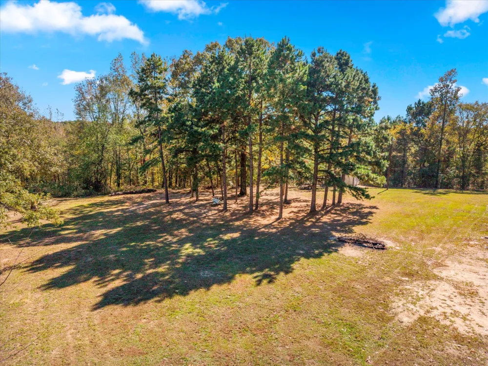 170 PR 52423 Leesburg, TX 75451