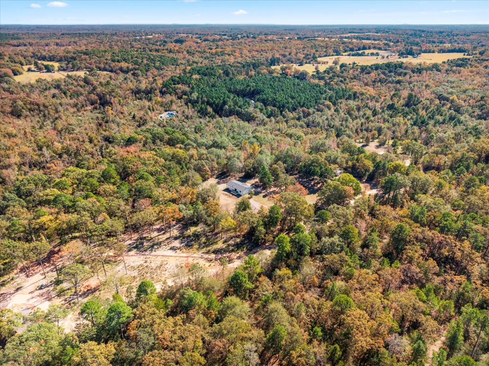170 PR 52423 Leesburg, TX 75451