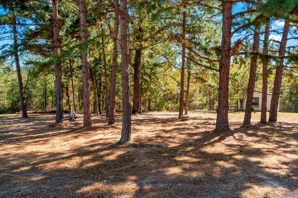 170 PR 52423 Leesburg, TX 75451