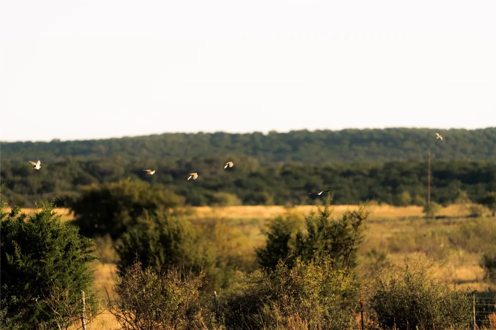 247 E Fm 581 Highway Lometa, TX 76853