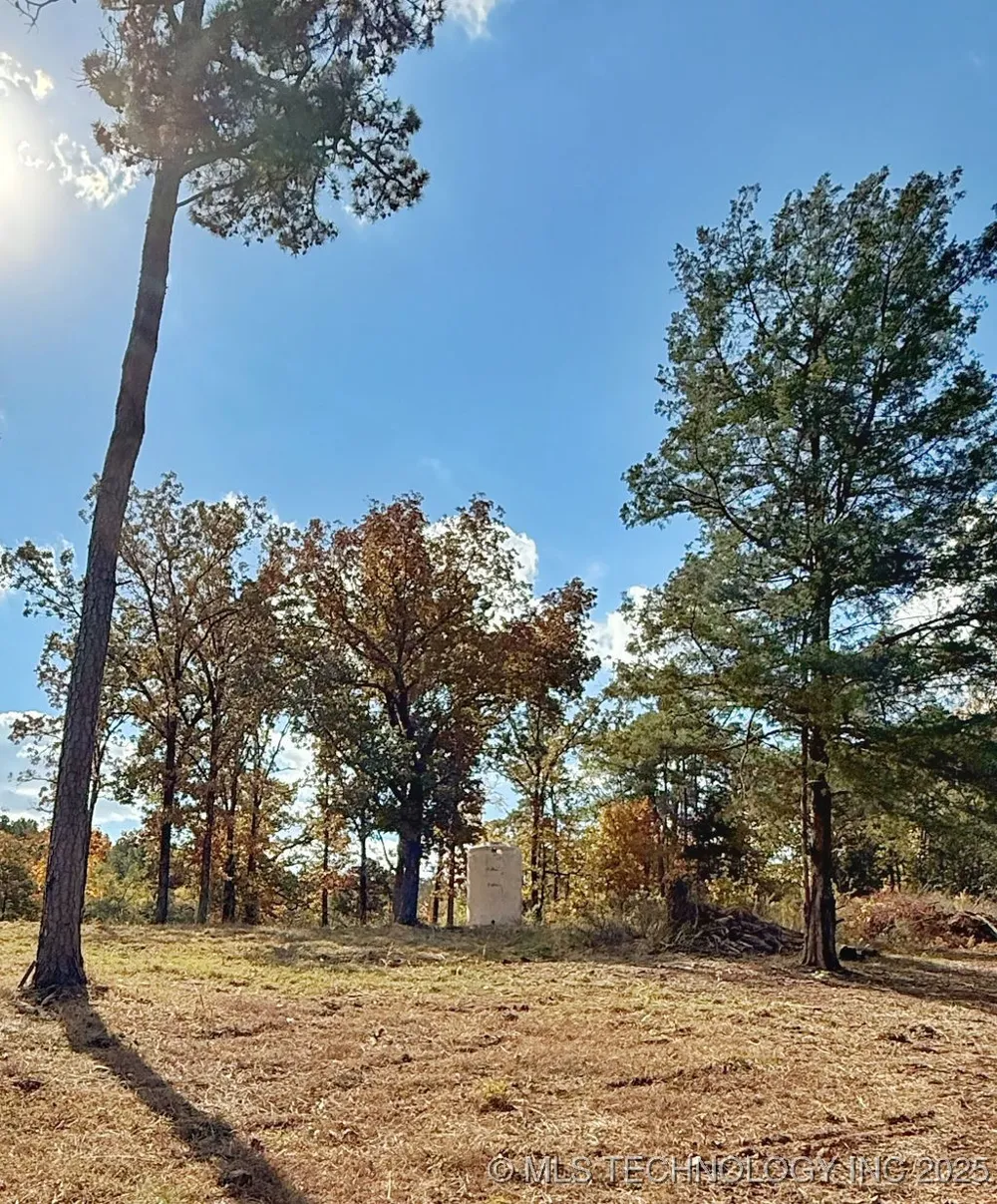 45143 US Hwy 59 Heavener, OK 74937